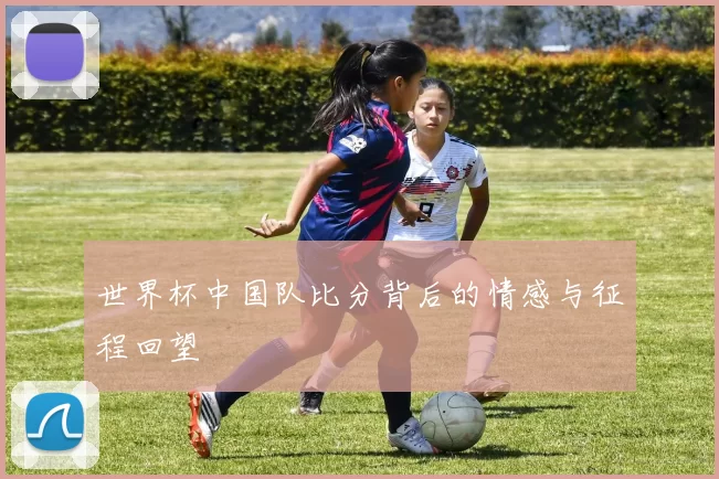 世界杯中国队比分背后的情感与征程回望