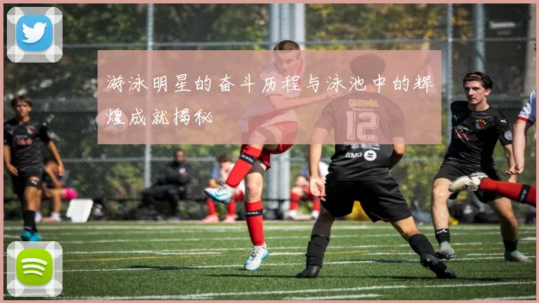 游泳明星的奋斗历程与泳池中的辉煌成就揭秘