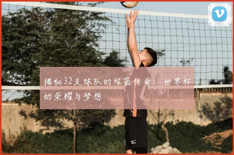 揭秘32支球队的绿茵传奇：世界杯的荣耀与梦想
