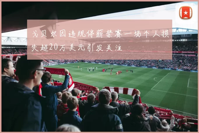 戈贝尔因违规停薪禁赛一场个人损失超20万美元引发关注