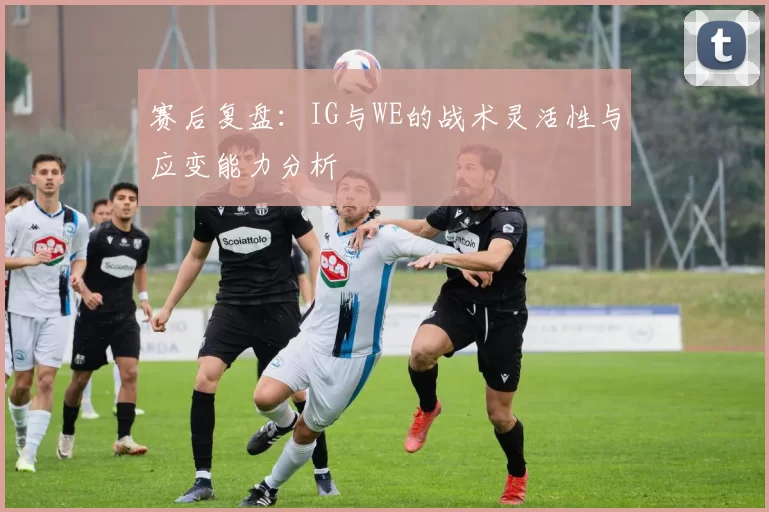 赛后复盘:IG与WE的战术灵活性与应变能力分析