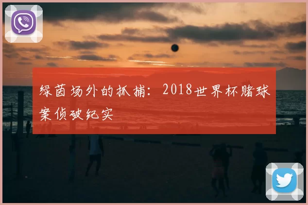 绿茵场外的抓捕:2018世界杯赌球案侦破纪实