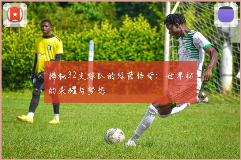 揭秘32支球队的绿茵传奇：世界杯的荣耀与梦想