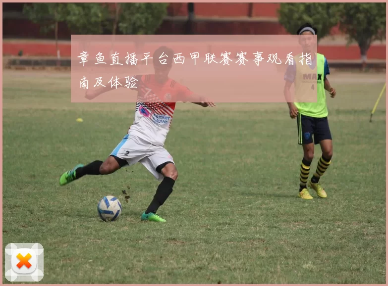 章鱼直播平台西甲联赛赛事观看指南及体验