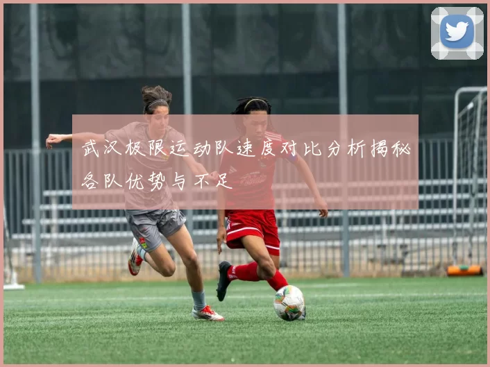 武汉极限运动队速度对比分析揭秘各队优势与不足