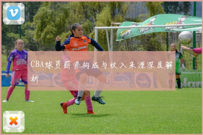 CBA球员薪资构成与收入来源深度解析
