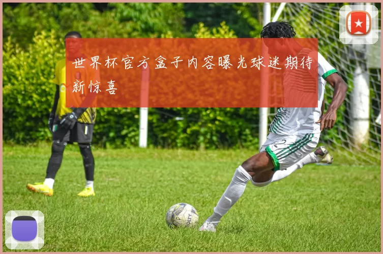 世界杯官方盒子内容曝光球迷期待新惊喜