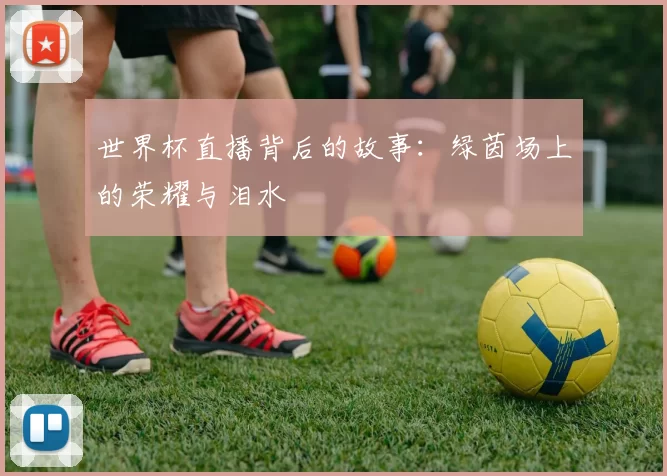 世界杯直播背后的故事：绿茵场上的荣耀与泪水