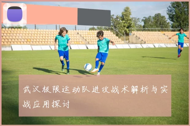 武汉极限运动队进攻战术解析与实战应用探讨
