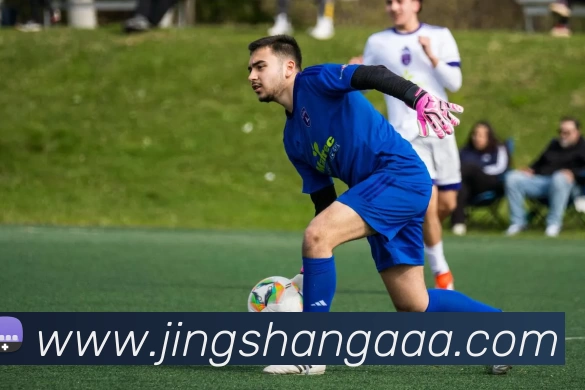 爱游戏官网平台生态图